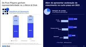 pure players paulo canarim consultor ecommerce